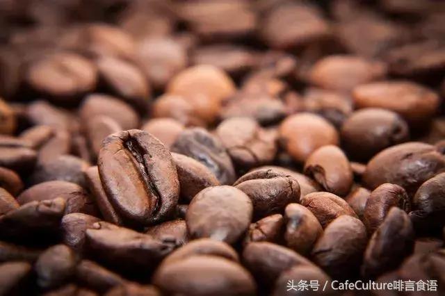 咖啡的品质是怎么分的,咖啡品质的评定方式