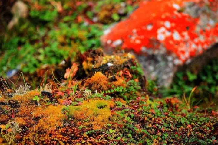 燕子沟5月高清图,7月燕子沟