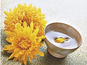 重阳节有哪些活动图片,重阳节有哪些活动意义是什么