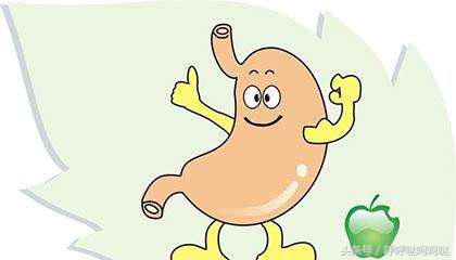 肚子一空胃就疼什么原因,只要空腹就胃酸是什么原因