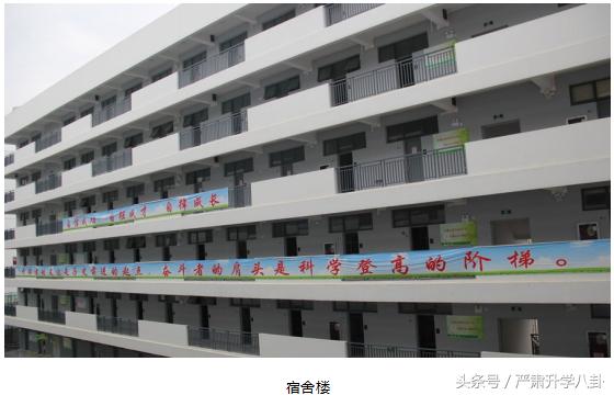 深圳科学高中近几年招生情况,2022深圳科学高中一模排名