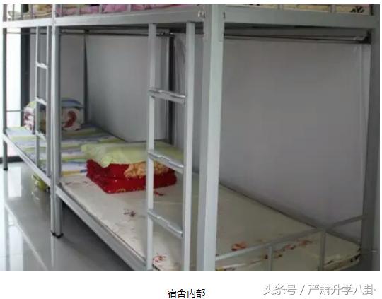 深圳科学高中近几年招生情况,2022深圳科学高中一模排名