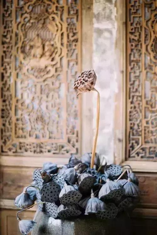 尚佐文,尚佐文演讲视频