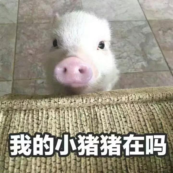 万圣节狂欢一起来捣蛋,万圣节魔法之夜一起鬼混吧