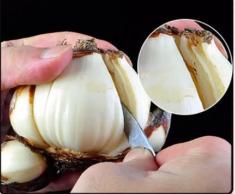 水仙种球是水培还是土培好,水仙种球什么时间上盆