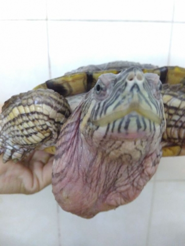 总结一些小病的治疗方法