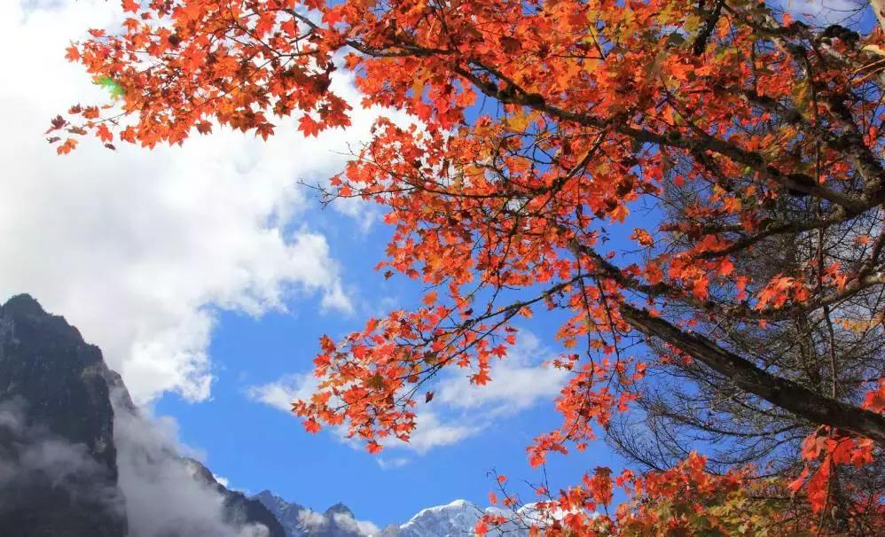 燕子沟5月高清图,7月燕子沟