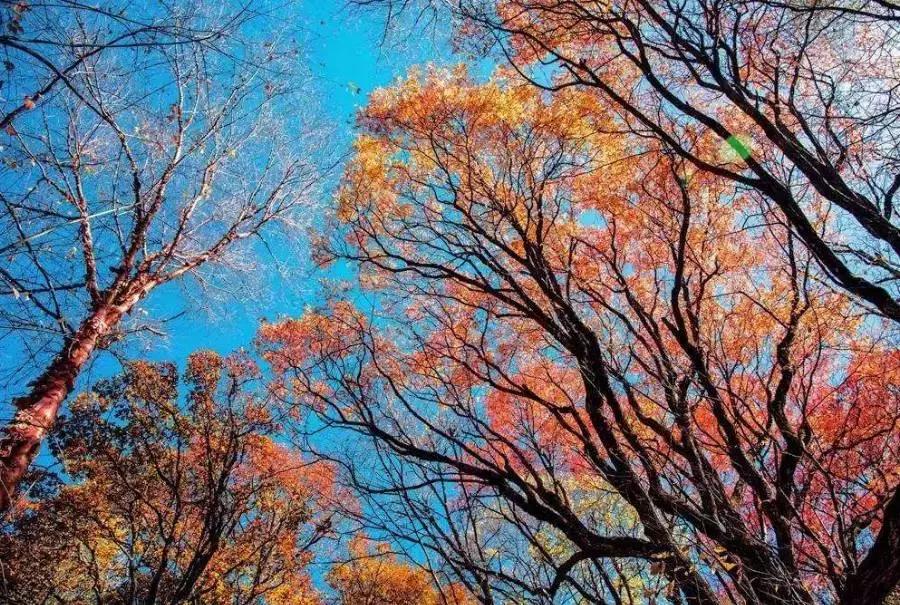 燕子沟5月高清图,7月燕子沟