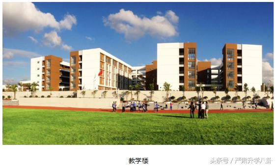 深圳科学高中近几年招生情况,2022深圳科学高中一模排名
