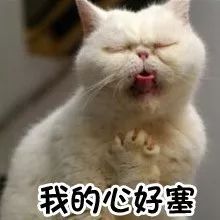 不要再随便乱用词语了,小仙女老公出局解读分分钟辣眼睛!