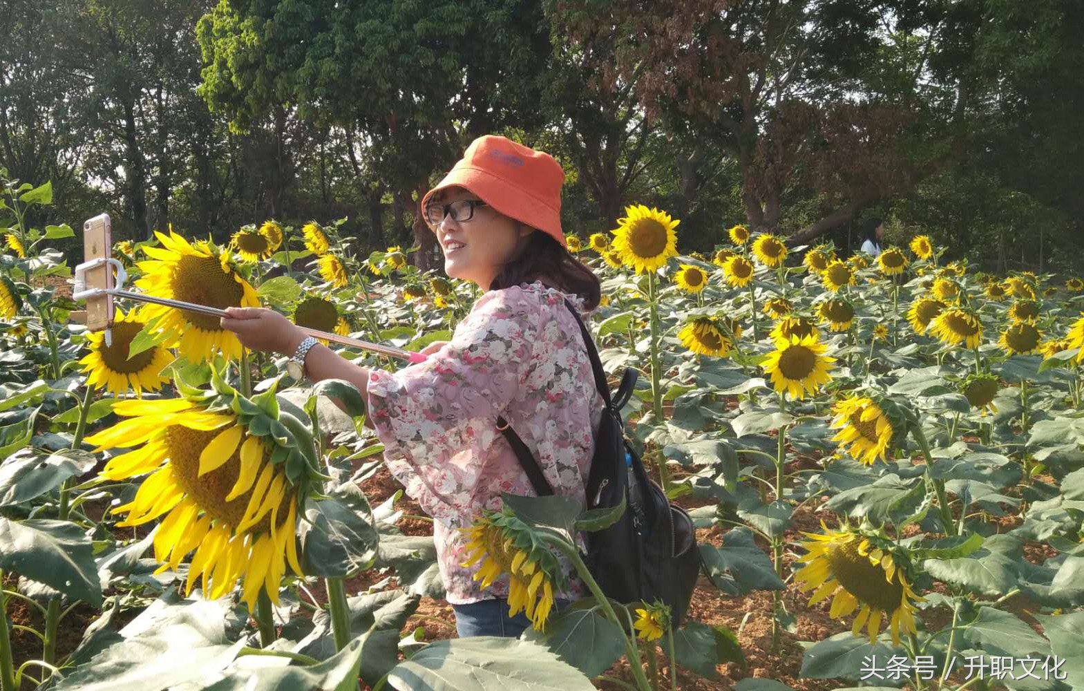 深圳社区妇联外出活动,深圳妇联活动