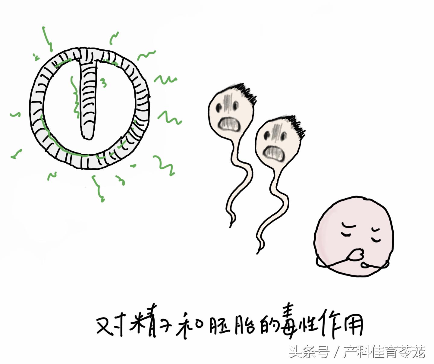 上环15天后还用避孕吗,上环前你应该详细了解这些知识