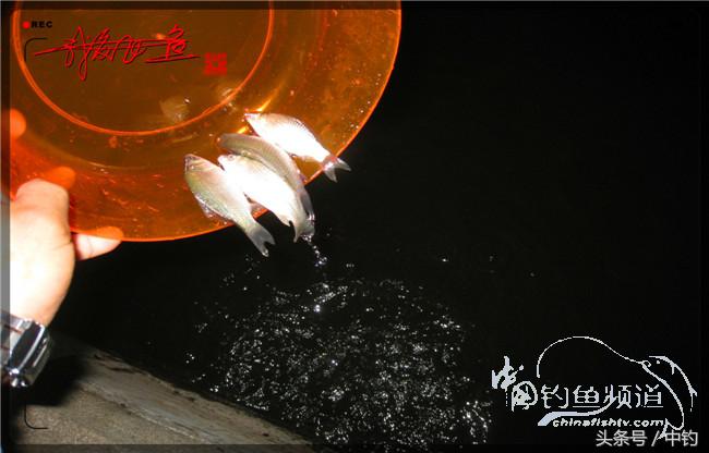 鱼口稀什么意思,鱼口又轻又慢