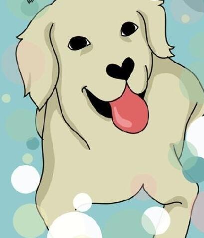 狗狗说三种语言,狗狗说三个字笑话