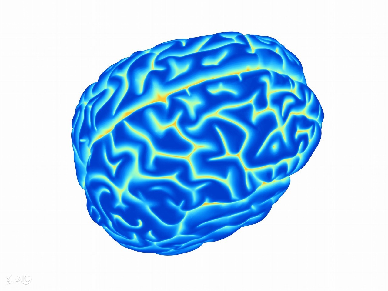 神奇记忆法真的假的,超级记忆术大概内容