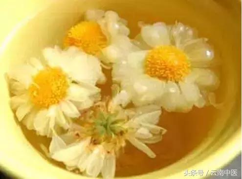 百病从肝治一书怎么样,百病从肝治视频