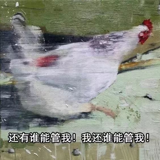 不要再随便乱用词语了,小仙女老公出局解读分分钟辣眼睛!