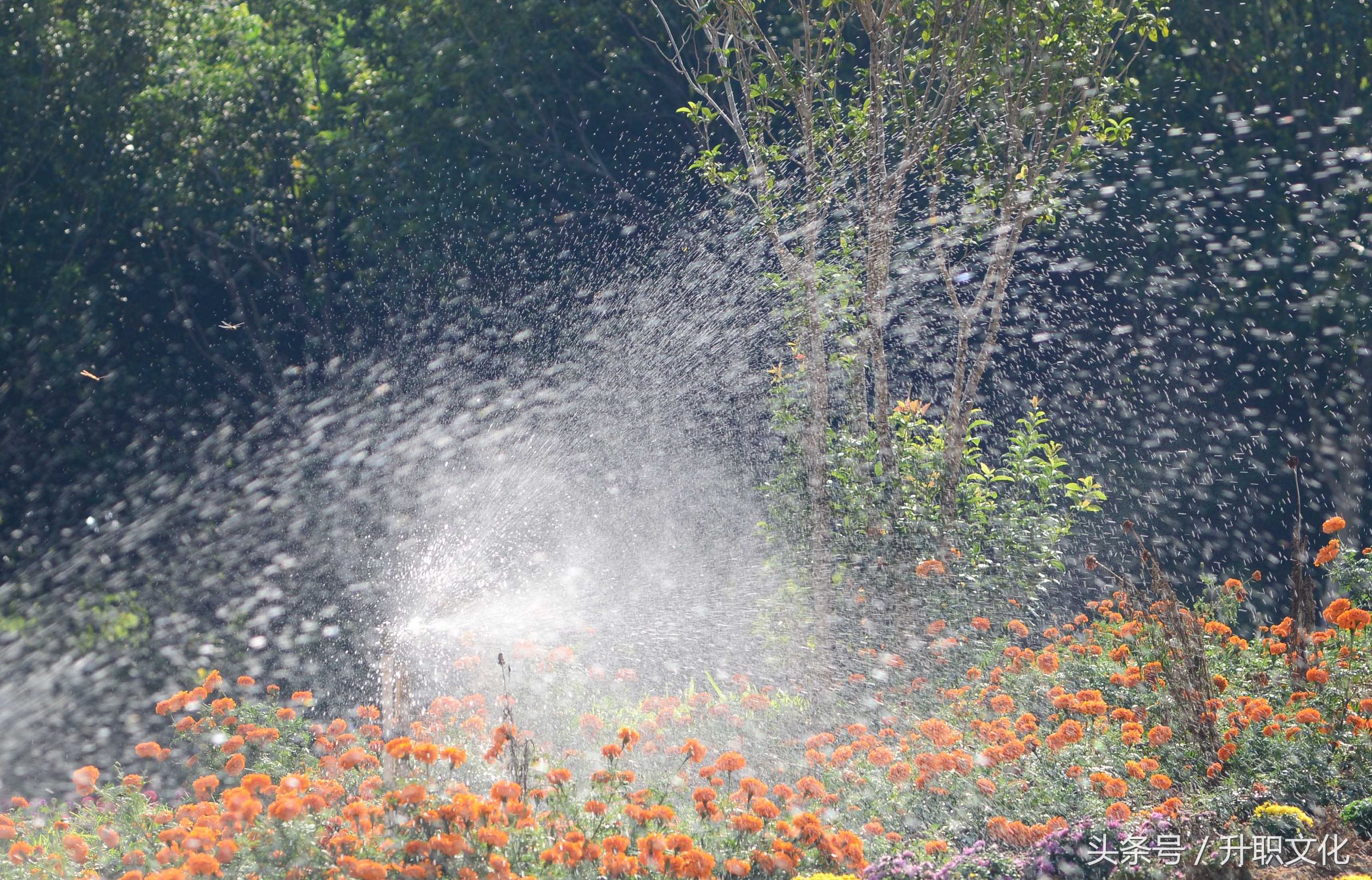 深圳社区妇联外出活动,深圳妇联活动