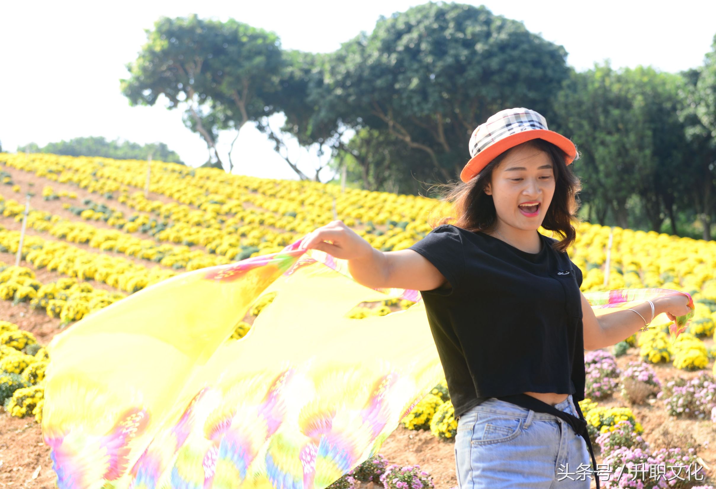 深圳社区妇联外出活动,深圳妇联活动