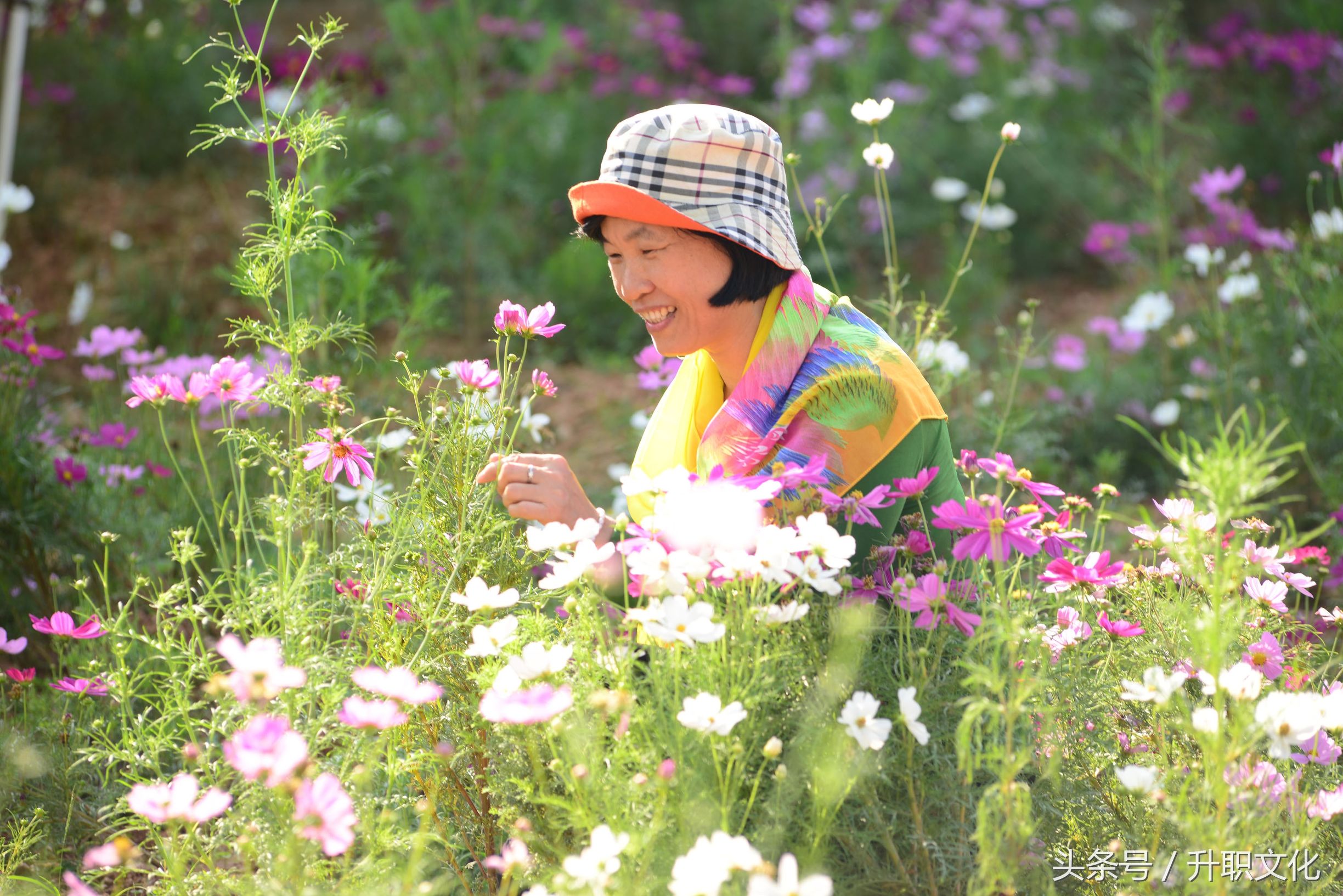 深圳社区妇联外出活动,深圳妇联活动
