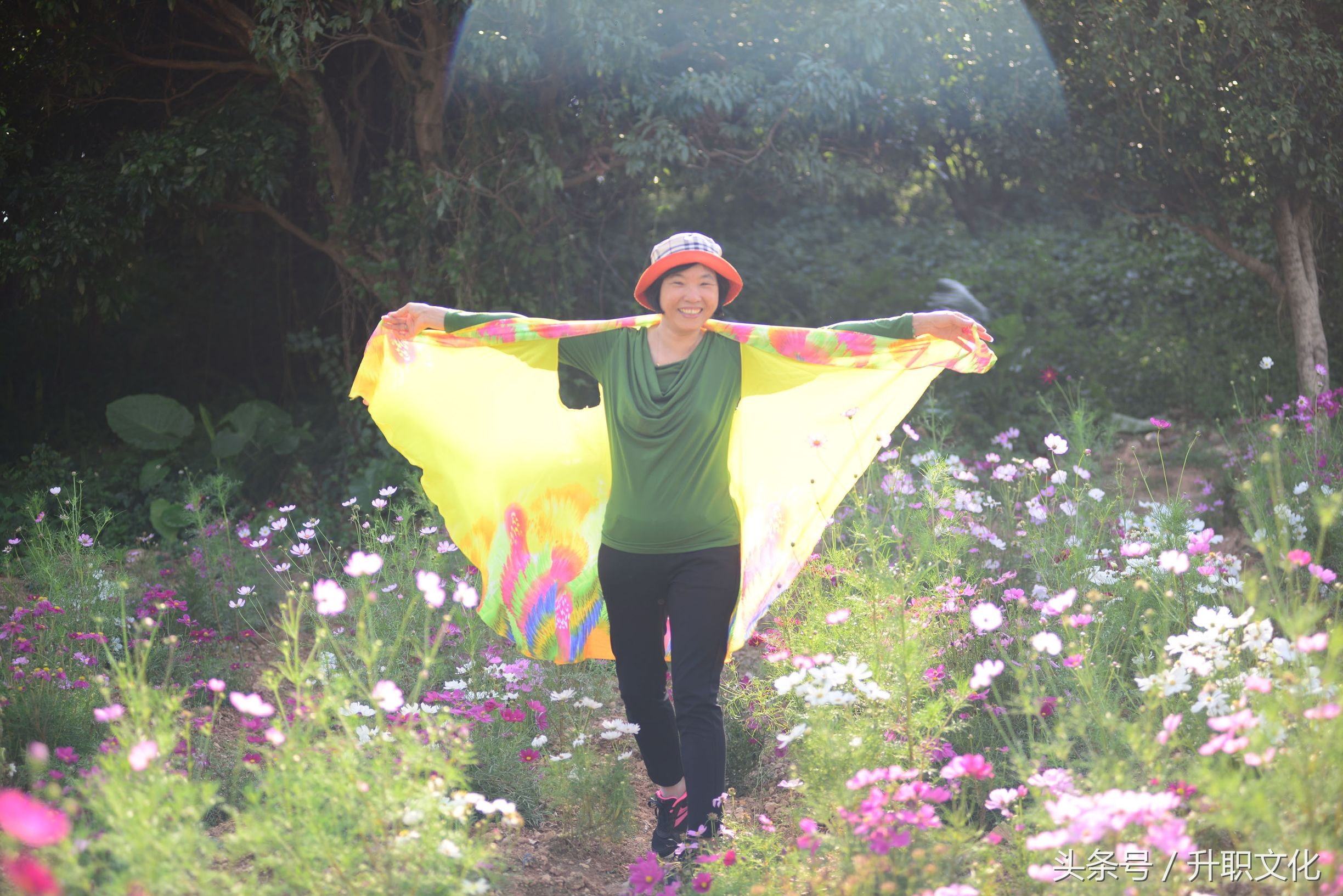 深圳社区妇联外出活动,深圳妇联活动