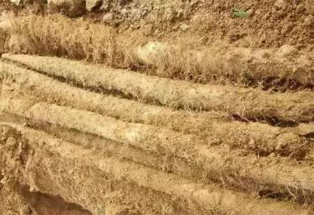 大农业今天行情,大农圈新闻