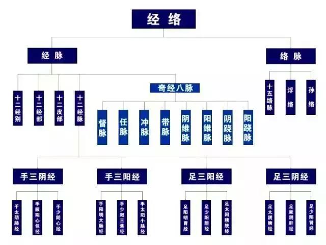小腿外侧经络不通的症状,人的经络不通早晨起来有哪些现象
