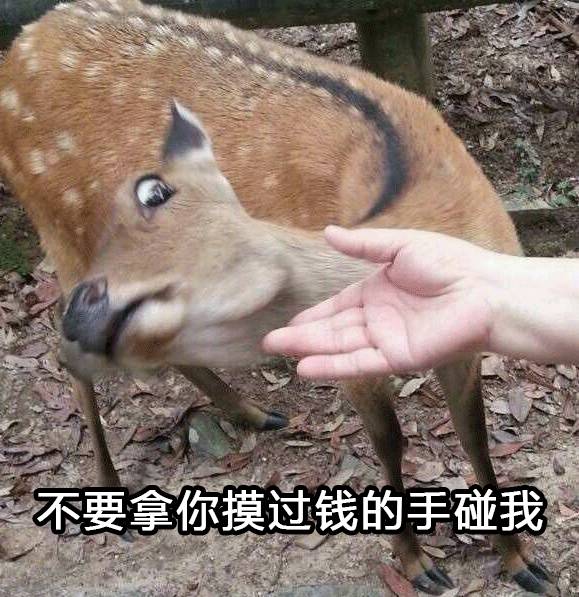 不要再随便乱用词语了,小仙女老公出局解读分分钟辣眼睛!