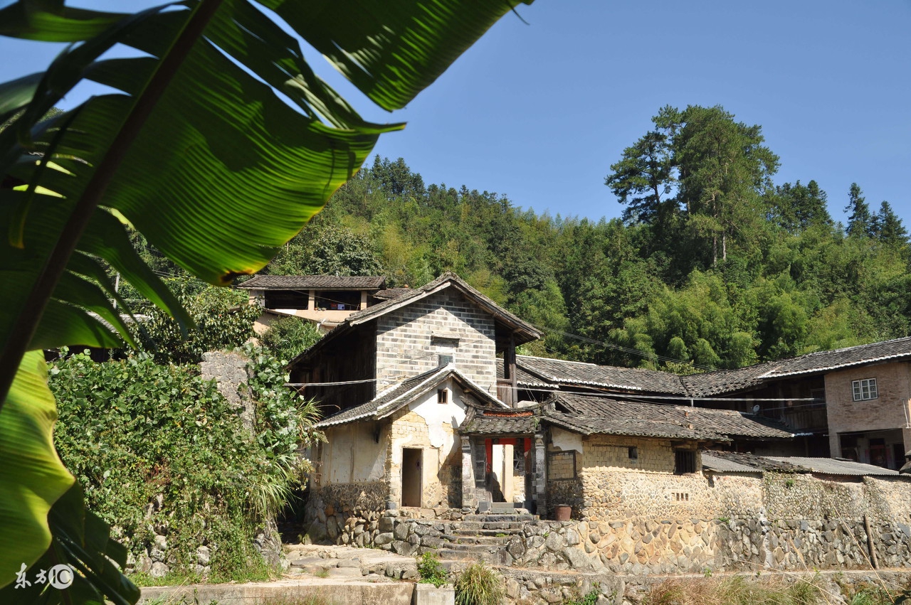 长寿村的秘密是啥,长寿村的秘密怪谈