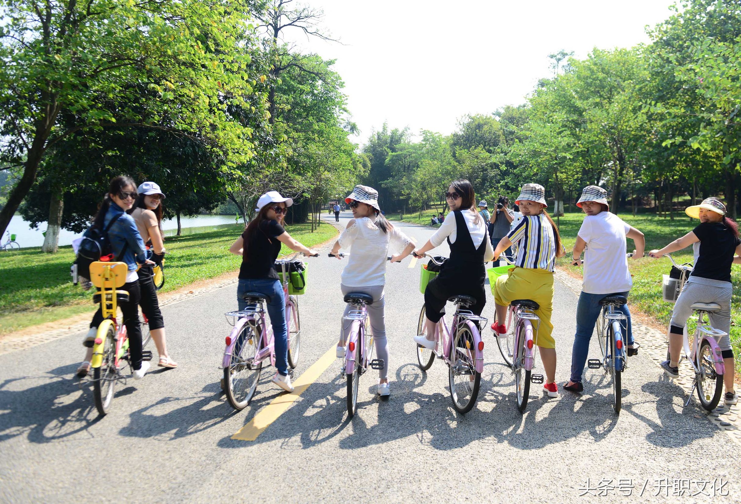 深圳社区妇联外出活动,深圳妇联活动