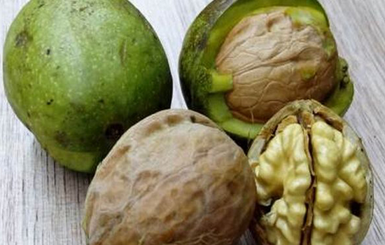 生核桃和干核桃哪个补脑效果好,青核桃皮和干核桃皮功效一样吗