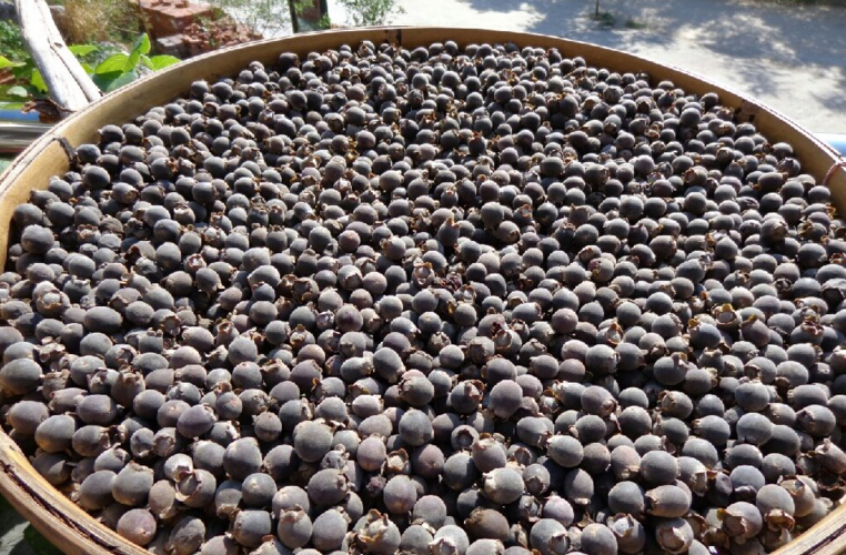 稔子酒有几种配酿方法,稔子酒的做法步骤教程