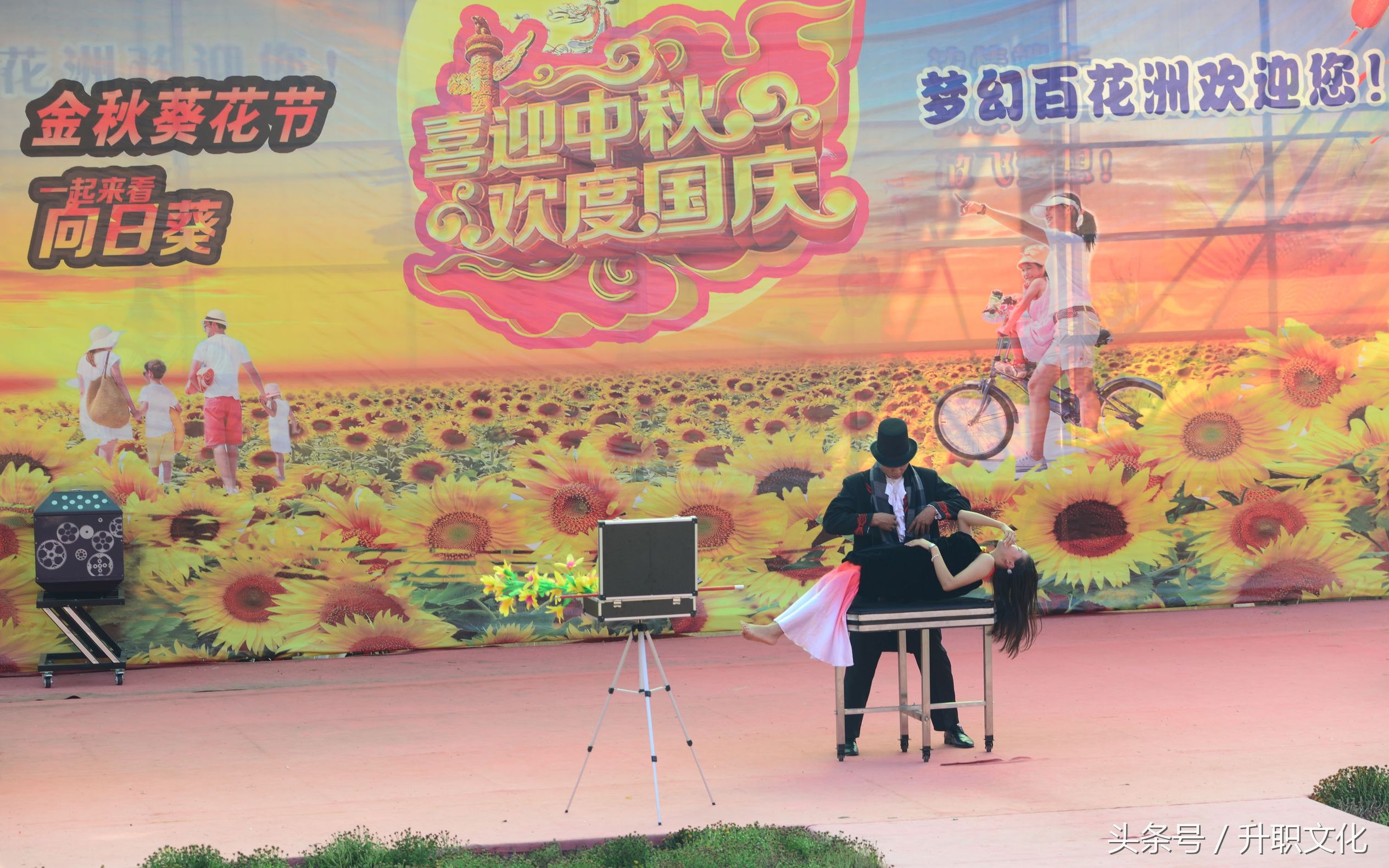 深圳社区妇联外出活动,深圳妇联活动