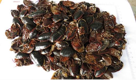 知虫治虫服务社会,常见害虫生活习性及其防治列表