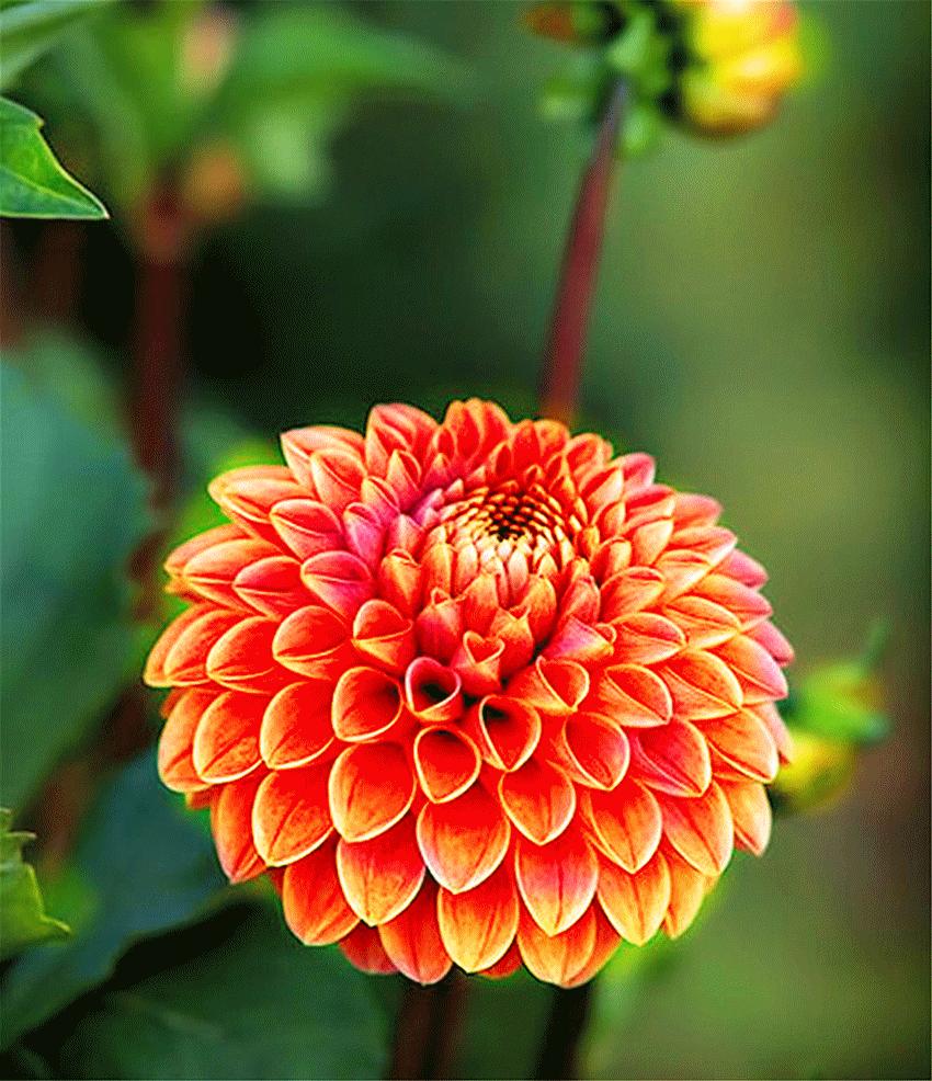 心累睡不着图片,心累睡不着完整版