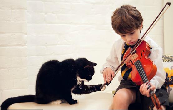 猫咪真的能治愈抑郁症吗,猫咪真的可以治愈一切