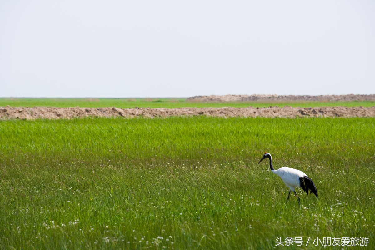 东北十大鬼城黑龙江省齐齐哈尔,一个人穷游中国黑龙江齐齐哈尔
