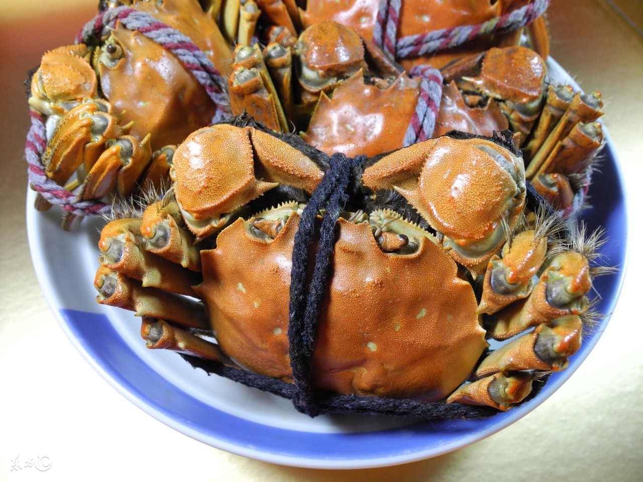 怎么使螃蟹好捆,怎么用细绳捆螃蟹