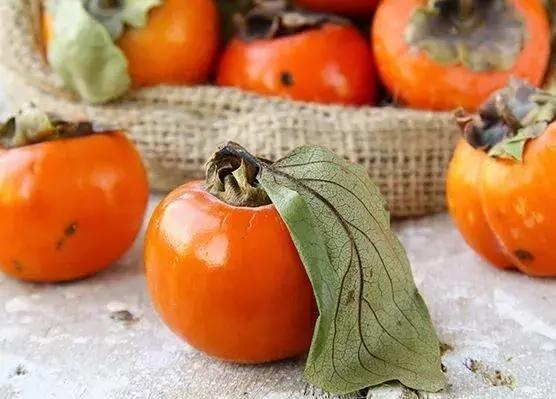 柿子能和酒一起用,柿子和酒间隔多少时间可以吃