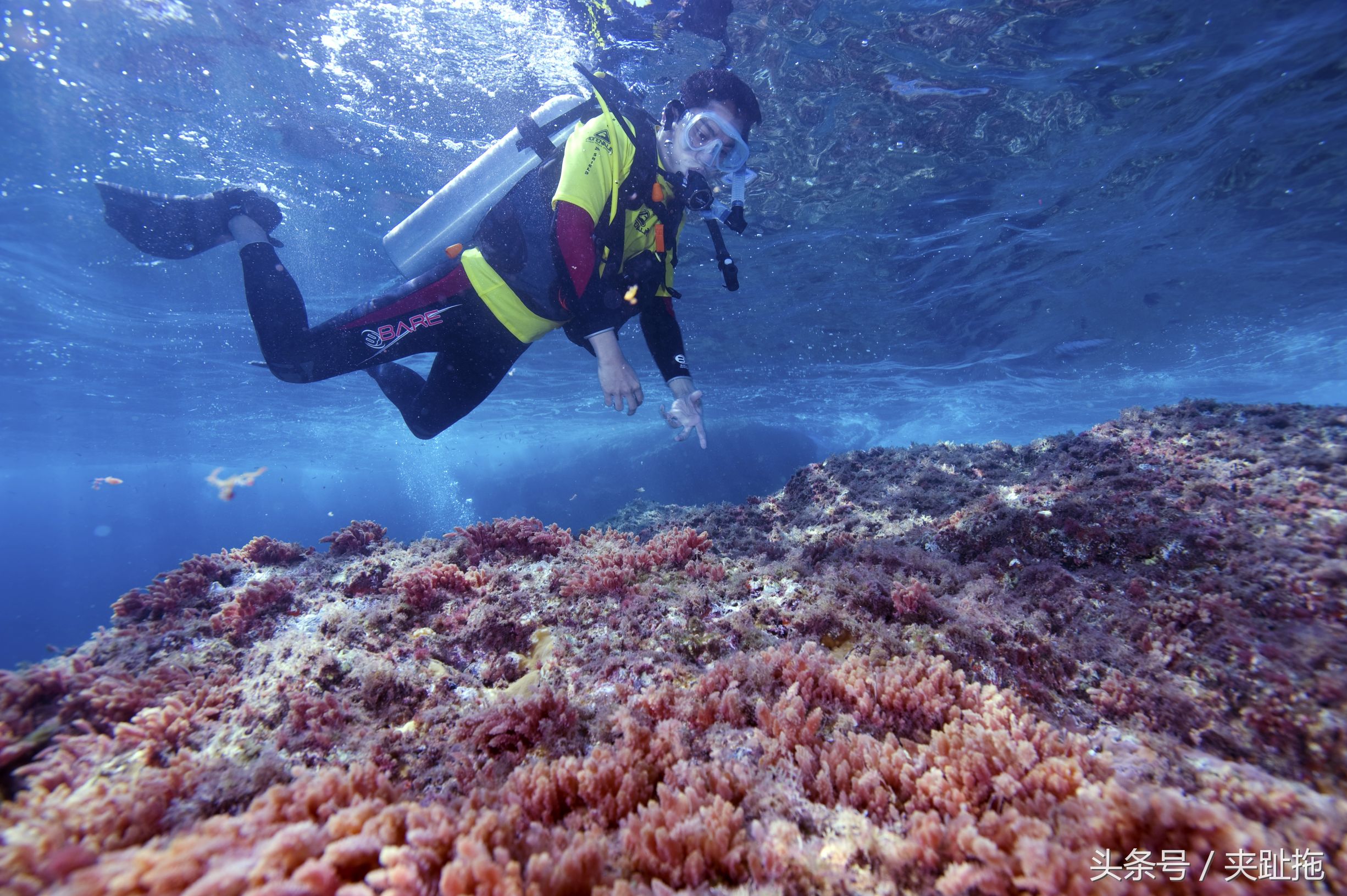 去马来西亚旅行需要准备什么,手把手教你去马来西亚