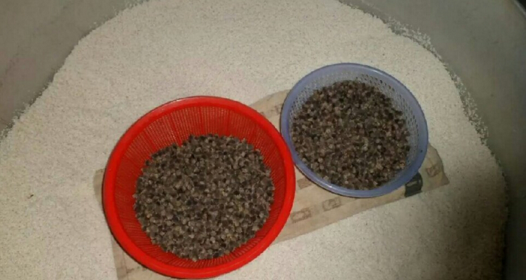 稔子酒有几种配酿方法,稔子酒的做法步骤教程