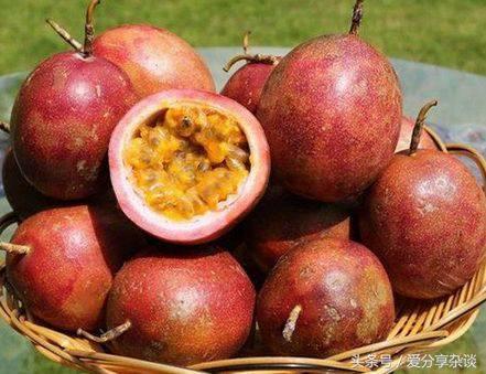 纯天然降压、*眠药安**！阳台都能种，四季收获