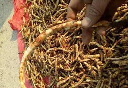 大农业今天行情,大农圈新闻