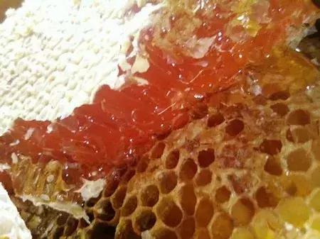 大农业今天行情,大农圈新闻