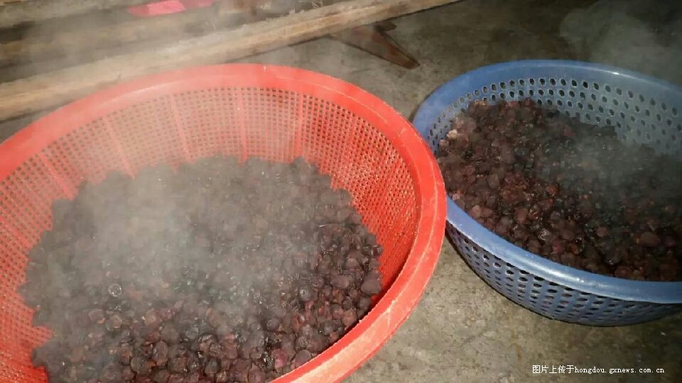 稔子酒有几种配酿方法,稔子酒的做法步骤教程