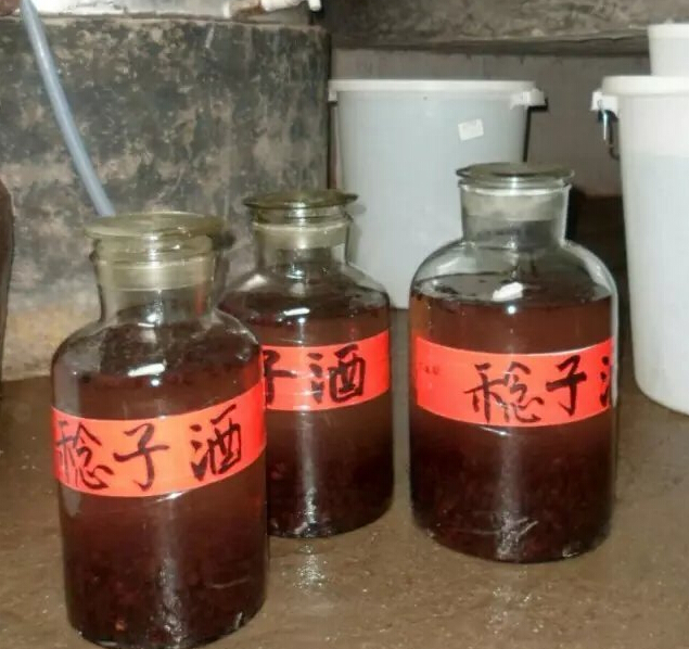 稔子酒有几种配酿方法,稔子酒的做法步骤教程