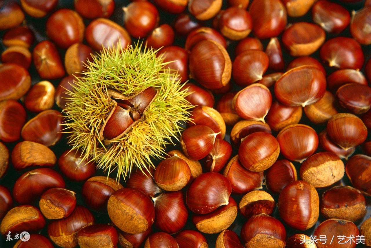 中老年人快速增肥方法,瘦子增肥快速方法