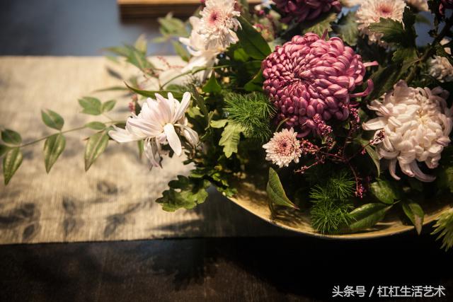 重阳节尊老敬老散文朗诵优秀作品,九九重阳节朗诵感人