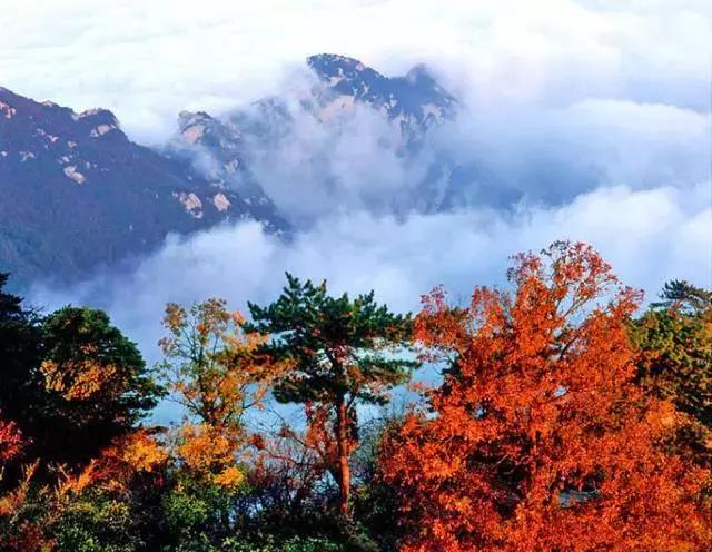 为什么此生一定要来一趟甘肃,此生为什么一定要去一次华山