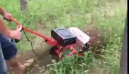 大农业今天行情,大农圈新闻